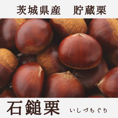 栗ご飯にぴったり!茨城県産 貯蔵 石鎚栗 約2kg(約1kg×2袋)【配送不可地域：離島・沖縄県】
