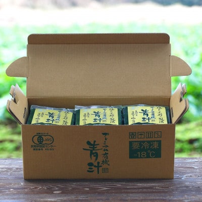 ベルファームの冷凍プレミアム有機青汁 茨城県産ケール100% 100g×30袋【離島・沖縄配送不可】【配送不可地域：離島・沖縄県】