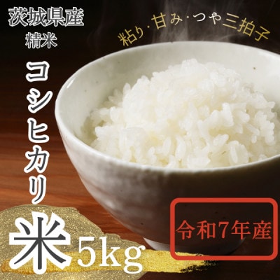 【茨城県産】2025年新米 茨城県産 コシヒカリ米(精米)5kg【配送不可地域：離島・沖縄県】