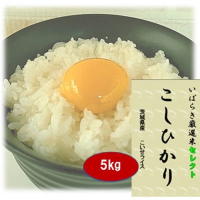 筑波山麓産米を中心に厳選した【茨城県産こしひかり】白米5kg 令和7年産【配送不可地域：離島・沖縄県】