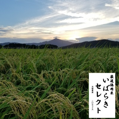 茨城県産こしひかりミックス 白米5kg 令和7年産【配送不可地域：離島・沖縄県】