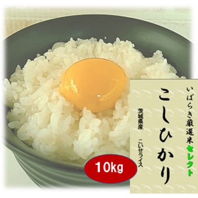 筑波山麓産米を中心に厳選した【茨城県産こしひかり】白米10kg 令和7年産【配送不可地域：離島・沖縄県】