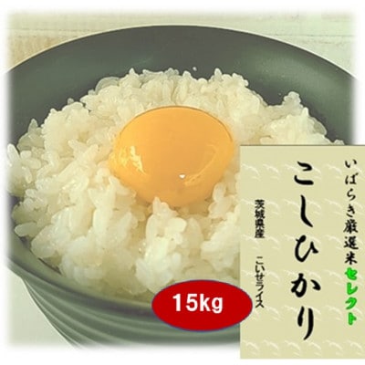 筑波山麓産米を中心に厳選した【茨城県産こしひかり】白米15kg 令和7年産【配送不可地域：離島・沖縄県】