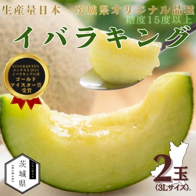 茨城県産メロン 茨城県オリジナル品種 イバラキング 2玉(3L)2026年5月下旬順次発送予定【配送不可地域：離島・沖縄県】