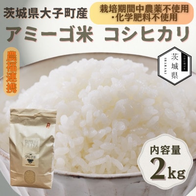 令和7年産新米 アミーゴ米2kg(コシヒカリ・天日干し)【自然の力　栽培期間中農薬・化学肥料不使用】【配送不可地域：離島・沖縄県】