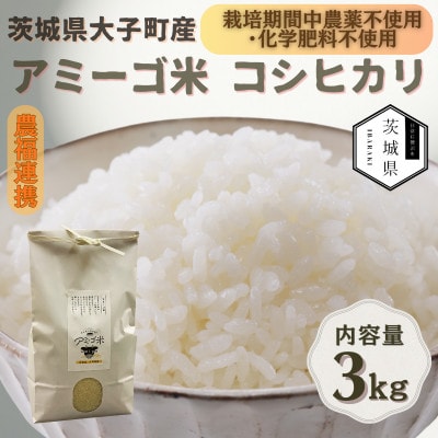 令和7年産新米 アミーゴ米3kg(コシヒカリ・天日干し)【自然の力　栽培期間中農薬・化学肥料不使用】【配送不可地域：離島・沖縄県】