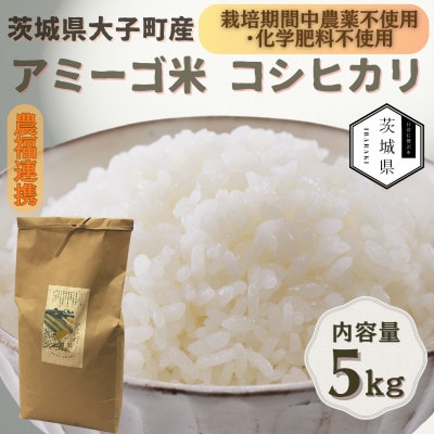 令和7年産新米 アミーゴ米5kg(コシヒカリ・天日干し)【自然の力　栽培期間中農薬・化学肥料不使用】【配送不可地域：離島・沖縄県】