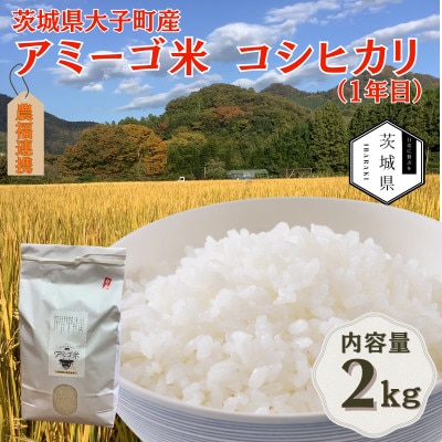 令和7年産新米 アミーゴ米2kg(コシヒカリ・天日干し米(1年目))栽培期間中農薬・化学肥料不使用【配送不可地域：離島・沖縄県】