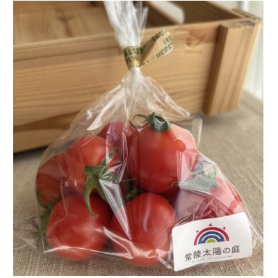 フルーツトマト1kg【配送不可地域：離島・沖縄県】