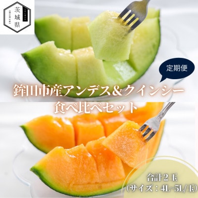 【発送月固定定期便】4・5月発送 山一ファーム 鉾田市 メロン食べ比べ(アンデスとクインシー)全2回【配送不可地域：離島・沖縄県】