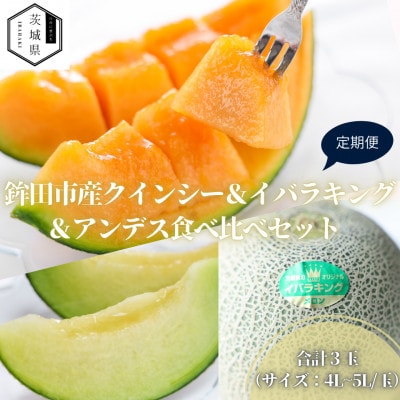 【発送月固定定期便】4・5・6月発送 山一ファーム 鉾田市 メロン食べ比べ 3種類全3回【配送不可地域：離島・沖縄県】