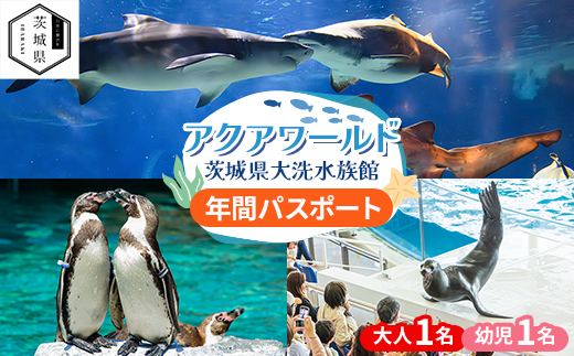 アクアワールド茨城県大洗水族館　年間パスポート(大人1名・幼児1名分)【配送不可地域：離島・沖縄県】