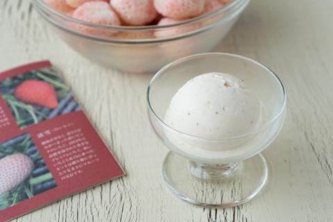 【数量限定】冷凍いちご 希少なプレミアム白イチゴ『淡雪』1kg入×2袋 合計2kg オリジナルレシピ有り【苺 いちご フルーツ 果物 冷凍 水戸市 茨城県】（DO-1）