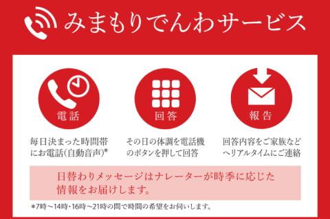 DV-6　郵便局のみまもりでんわサービス(固定電話コース１２か月)