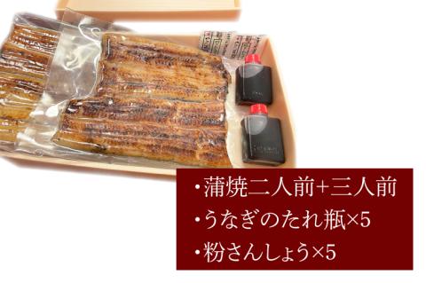 【蒲焼割烹 ぬりや】うなぎ蒲焼（真空パック）５人前 【鰻 ウナギ うなぎ　土用丑の日 土用 丑の日 かば焼き 蒲焼き 国産 うなぎ蒲焼 老舗】（GW-5）