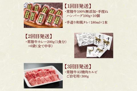 【定期便 全6回】常陸牛 6ヶ月 定期便 Bコース 食べ物 肉 ハンバーグ 焼肉 すき焼き しゃぶしゃぶ レトルト 常陸牛カレー ビーフカレー セット ギフト対応 【肉のイイジマ】 茨城県 水戸市（DU-108）