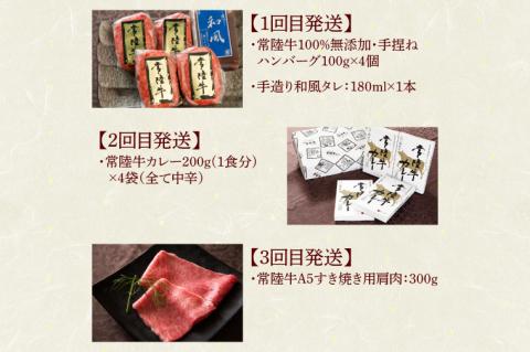 【定期便 全6回】 肉 常陸牛 6ヶ月 定期便 Aコース ハンバーグ 焼肉 すき焼き レトルトカレー コンビーフ ギフト セット 食べ物ギフト対応 【肉のイイジマ】 茨城県 水戸市（DU-107）
