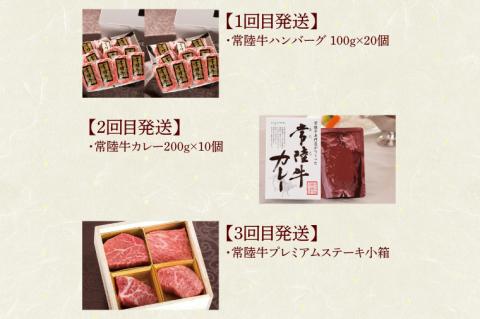 【定期便 全12回】 常陸牛 12ヶ月 定期便 Cコース 肉 常陸牛ハンバーグ 焼肉 すき焼き しゃぶしゃぶ リブロース ステーキ 常陸牛カレー レトルト ビーフ ギフト セット（DU-113）