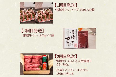 【定期便 全8回】 常陸牛 8ヶ月 定期便 Aコース 肉 ハンバーグ 焼肉 すき焼き しゃぶしゃぶ フィレ サーロイン ステーキ レトルト 常陸牛カレー ビーフカレー ギフト対応 【肉のイイジマ】（DU-114）