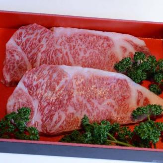 常陸牛ステーキ　250ｇ×2枚【牛 お中元 お歳暮 熨斗対応 ギフト 常陸牛 ステーキ 黒毛和牛 国産 銘柄牛 ブランド牛 厚切り 霜降り】（BG-3）