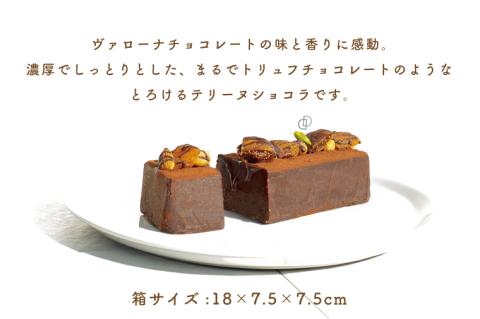 テリーヌショコラ【茨城県 水戸市 菓子 お菓子 テリーヌ ショコラ チョコレート チョコ 濃厚 なめらか プレゼント 手土産 スイーツ 冷凍】（FU-8）