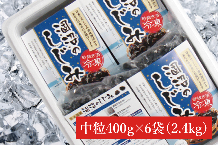 涸沼のプリップリ中粒冷凍しじみ（砂抜き済）【蜆 シジミ 10000円以内 クール すなぬき 味噌汁 栄養 貝汁 贈り物 ギフト 水戸市】（BJ-1）