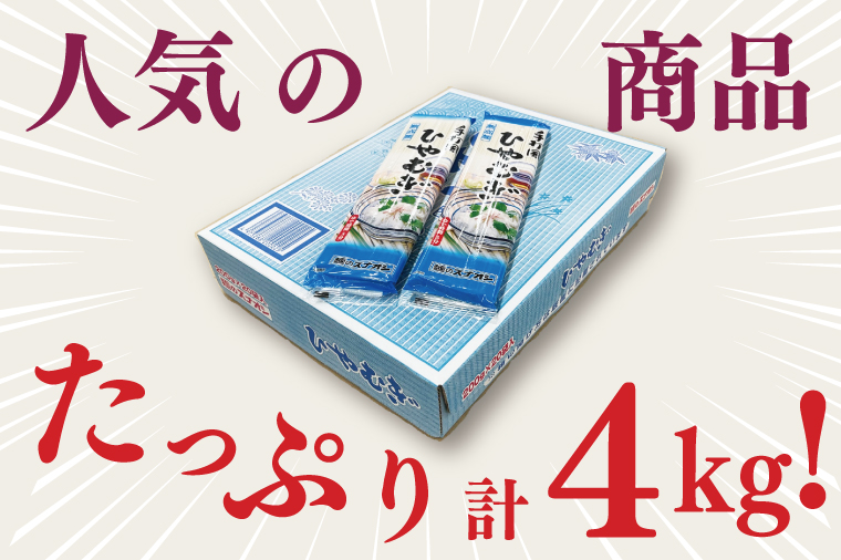 【麺のスナオシ】手打風ひやむぎ１箱　4kg（200ｇ×20袋）（乾麺）【冷や麦 麺 長期保存 保存食 防災 人気 大容量 水戸市 茨城県】（BY-11）
