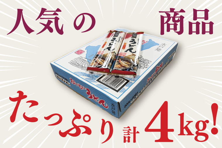 【麺のスナオシ】水戸発　おいしいうどん１箱　4kg（200ｇ×20袋）（乾麺）【饂飩 麺 長期保存 保存食 防災 人気 大容量 水戸市 茨城県】（BY-15）