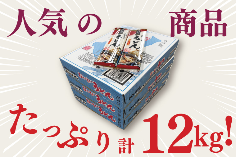 【麺のスナオシ】水戸発　おいしいうどん３箱　計12kg（200ｇ×60袋）（乾麺）【饂飩 麺 長期保存 保存食 防災 人気 大容量 水戸市 茨城県】（BY-16）