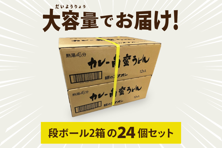 【麺のスナオシ】カップ カレー南蛮うどん ２ケース(計24個)【ストック 常温保存 即席麺 非常食  備蓄 長期保存 保存食 防災 人気 大容量 水戸市 茨城県】（BY-31）