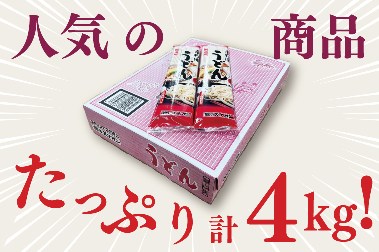 【麺のスナオシ】リピーター続出！手打風うどん１箱　4kg（200ｇ×20袋）（乾麺）【饂飩 麺 長期保存 保存食 防災 人気 大容量 水戸市 茨城県】（BY-7）