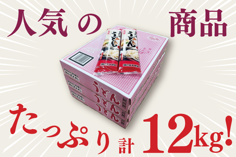 【麺のスナオシ】リピーター続出！手打風うどん３箱　計12kg（200ｇ×60袋）（乾麺）【饂飩 麺 長期保存 保存食 防災 人気 大容量 水戸市 茨城県】（BY-8）