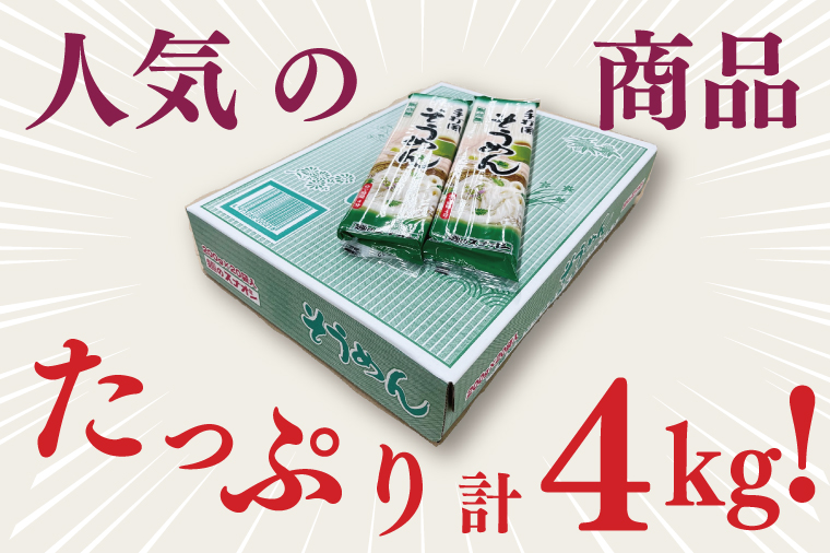 【麺のスナオシ】手打風そうめん１箱　4kg（200ｇ×20袋）（乾麺）【素麺 麺 長期保存 保存食 防災 人気 大容量 水戸市 茨城県】（BY-9）