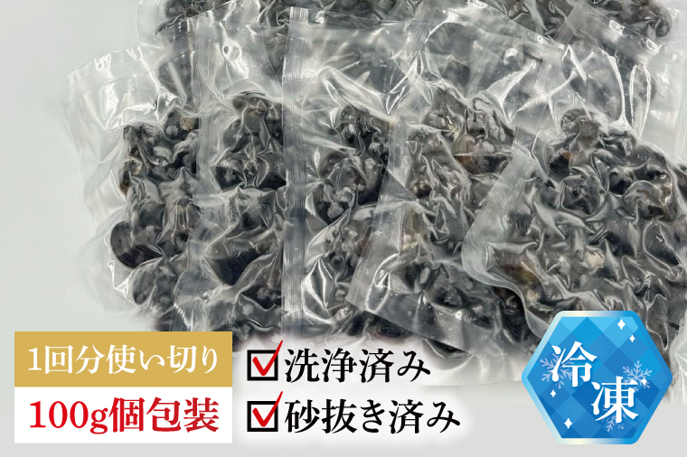 【3ヶ月定期便】涸沼産冷凍しじみ中粒２kg（100g×20p）【シジミ 中粒しじみ 産地直送 砂抜き済み 砂抜き 小分け包装 味噌汁 みそ汁 茨城県】（CA-10）