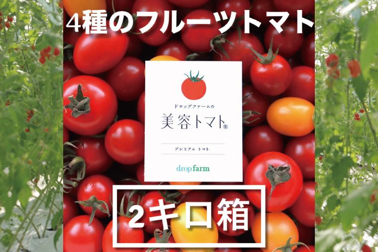 【11月～6月発送】ドロップファームの美容トマト おまかせ2kg箱(４種ミックス)【とまと フルーツトマト 野菜ソムリエ 栄養士 アイコ イエローアイコ 小鈴 フルティカ 野菜 フレッシュ 水戸市 茨城県】（CK-102）