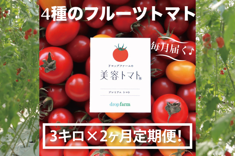 【2ヶ月定期便】【11月より順次発送】ドロップファームの美容トマトおまかせ3kg箱(４種ミックス)【とまと フルーツトマト 野菜ソムリエ 栄養士 アイコ イエローアイコ 小鈴 フルティカ 野菜 フレッシュ 水戸市 茨城県】（CK-22）