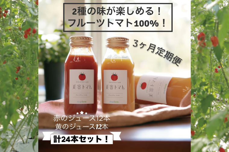 【3ヶ月定期便】ドロップファームの美容トマト(R)トマトジュースたっぷり24本セット【トマト とまと ブレンド イエローアイコ アイコ セット 野菜ジュース 野菜 やさい 健康 水戸市 茨城県】（CK-25）