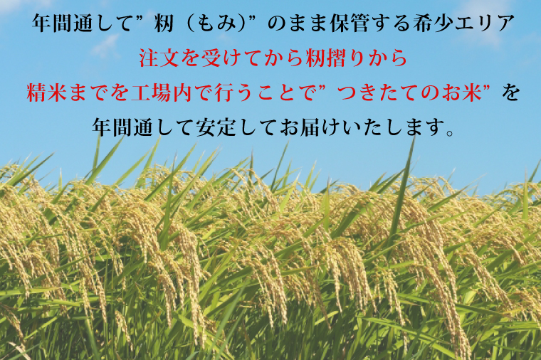 【3ヶ月定期便】【令和7年産】茨城県産コシヒカリ 宝蔵米 15kg×3回【お米 米 菊池 こしひかり つきたてのお米 食味ランキング特A評価 茨城県 水戸市】（CZ-906）