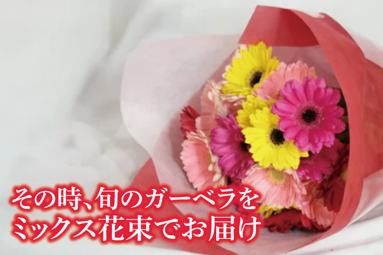 旬の水戸市常澄のガーベラ カラフルミックス20本【ガーベラ 産直 サプライズ フラワーアレンジ 花 お花 贈り物 誕生日 母の日 彼女にプレゼント 水戸市 茨城県】（DR-130）