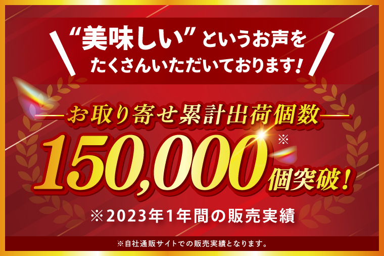 【定期便6回】肉 常陸牛ハンバーグ100g×10個 計1kg × 6回 セット ギフト リピーター続出！ お返し 内祝い 記念日 プレゼント 誕生日 個別真空パック 焼くだけでレストランの味（DU-60）