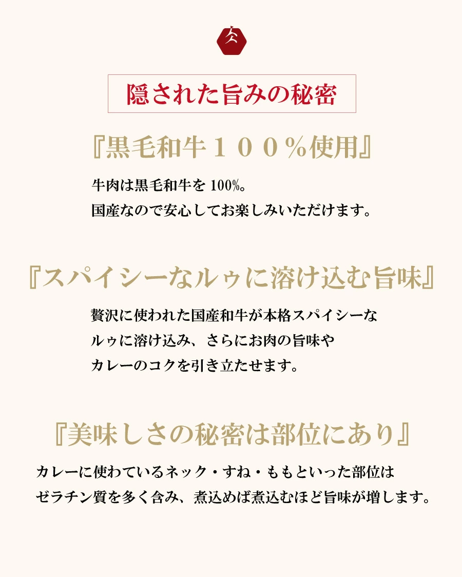 カレー レトルト 10個入り イイジマ和牛カレー 10個入り 黒毛和牛 化粧箱 お歳暮 ギフト 肉 食べ物 ギフト対応【肉のイイジマ】茨城県 水戸市（DU-81）