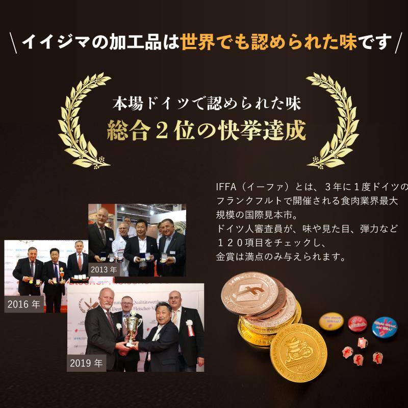 ハム ソーセージ 詰め合わせ IFFA金賞イイジマ工房お試しBセット 9000円 ウインナー ベーコン ローズポーク シャルキュトリー お歳暮 ギフト対応【肉のイイジマ】 茨城県 水戸市（DU-93）