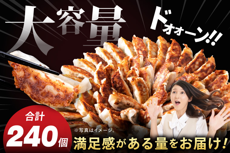 【6ヶ月定期便】満腹餃子 リピーター続出！ボリューム満点！240個（6kg）×6回【老舗 大容量 国産 焼き餃子 冷凍 ぎょうざ ギョーザ 冷凍餃子 簡単調理 惣菜 おかず 水戸市 水戸 茨城県 】（EJ-21）