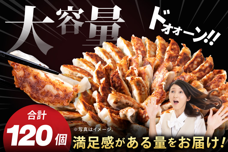 満腹餃子 リピーター続出！ボリューム満点！120個（３kg ）【モトヤ 老舗 大容量 国産 焼き餃子 冷凍 ぎょうざ ギョーザ 冷凍餃子 簡単調理 惣菜 おかず 水戸市 水戸 茨城県】（EJ-13）