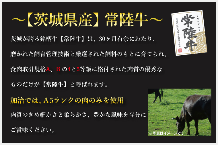 【6ヶ月定期便】【常陸牛 A5ランク・美明豚ステーキセット】常陸牛サーロインステーキ200g＋美明豚ロースステーキ280g（140g×２枚） 冷凍 国産牛 和牛 牛肉 豚肉　ブランド豚 茨城県 水戸市 食べ比べ セット商品 国産 老舗精肉店 (EK-18_2)