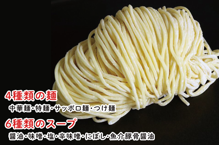 ラーメンつけ麺食べ比べ（20食）麺４種スープ６種【工場直送 松月製麺所 最高級 中華麺 手作り 水戸市 茨城県】（EM-1）