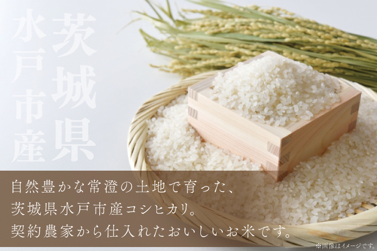 令和7年産 茨城県水戸市常澄産コシヒカリ みと米2㎏【こしひかり お米 米 水戸市 茨城県】（EX-5）