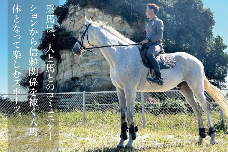 ホースセラピー・癒しコース（120分）【乗馬 馬 ポニー サラブレッド ブラッシング リラクゼーション 水戸市 茨城県】（EY-1）