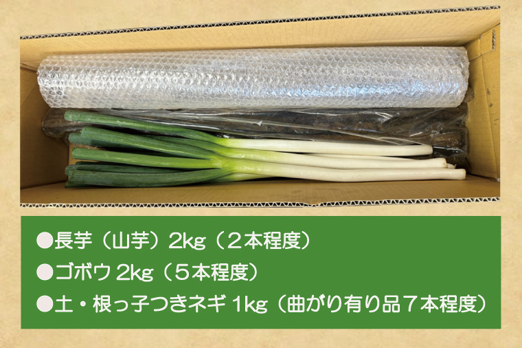 【数量限定】水戸の３年長芋（山芋）＆愛情ネギ＆元気ゴボウの３種類セット【茨城県産 野菜 やさい 野菜セット 水戸野菜 ごぼう 牛蒡 ながいも やまいも ねぎ 葱 国産 新鮮 産地直送 農家直送 生産者】（HD-2）