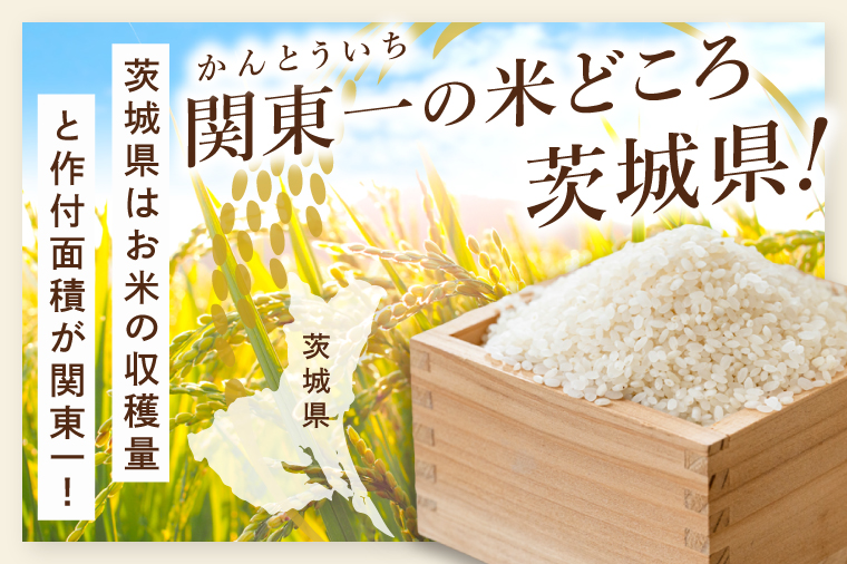 【数量限定】【令和7年産】茨城県産コシヒカリ 那珂川の清流 ホタル米5kg（茨城県共通返礼品/城里町）【お米 ごはん こしひかり おいしい 白米 茨城県産 水戸市】（IH-5102）